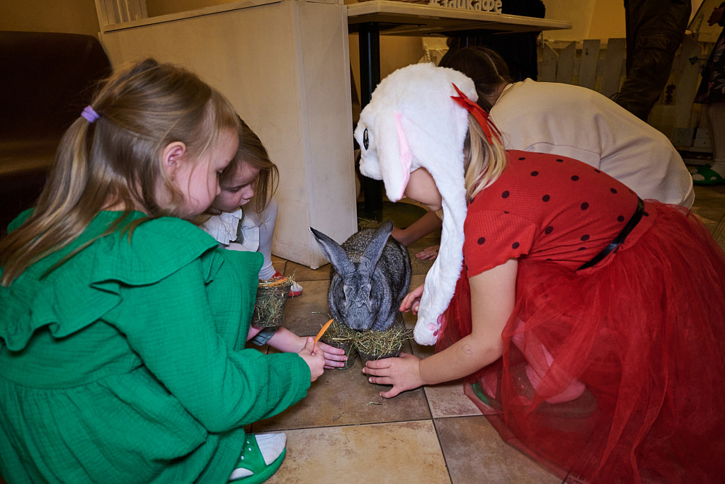 Зайкафе. Изображение 6