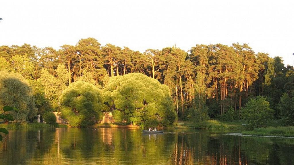 Лесопарк Серебряный бор. Изображение 3