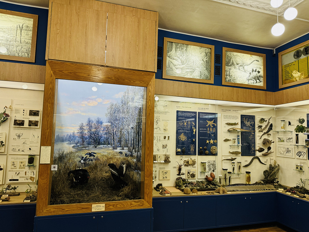 Биологический музей им. К.А. Тимирязева. Изображение 4