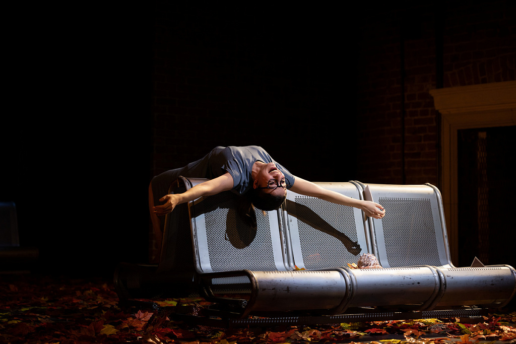 Дама с собачкой. Изображение 2