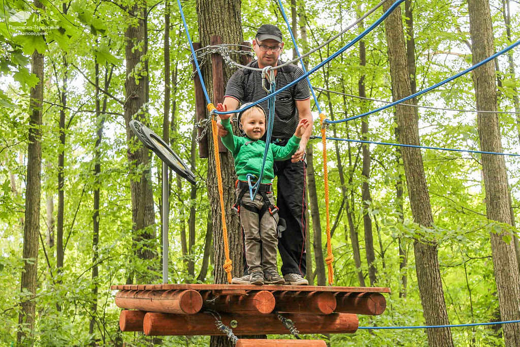 Экологический парк «Дерево-Дом». Изображение 2