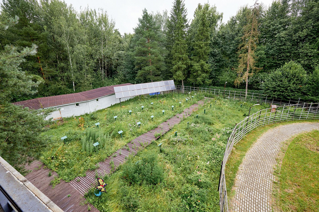 Экоцентр «Дом Лани». Изображение 4