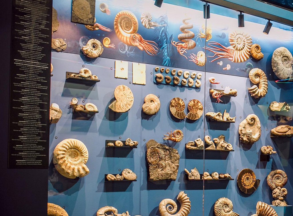 Музей Истории Мироздания . Изображение 5