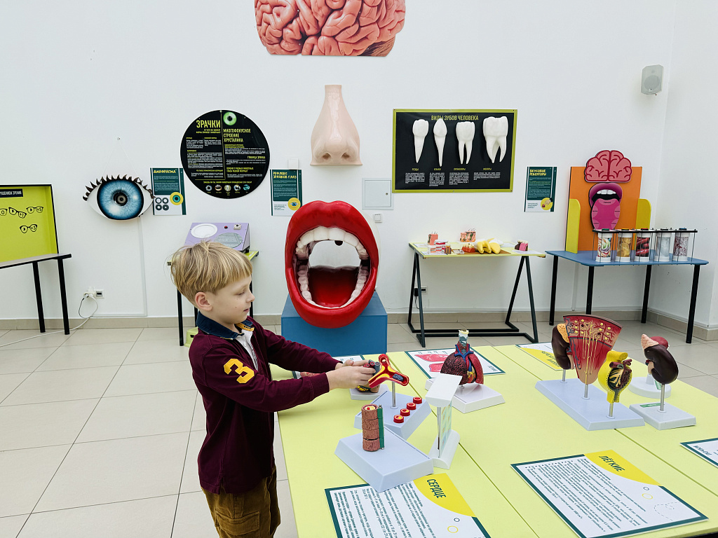 Анатомикум. Изображение 3