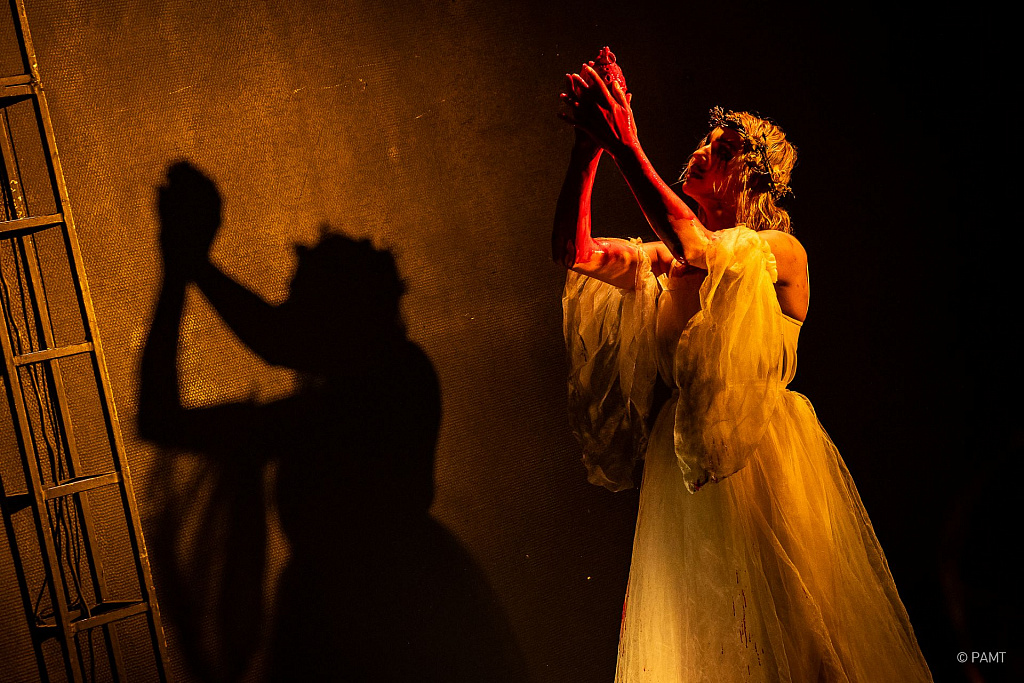 Василисса. Изображение 4