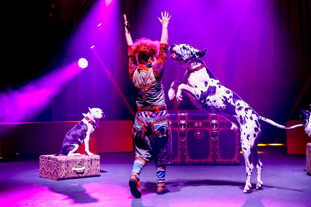 Цирковое лето в парках Москвы. Изображение 2