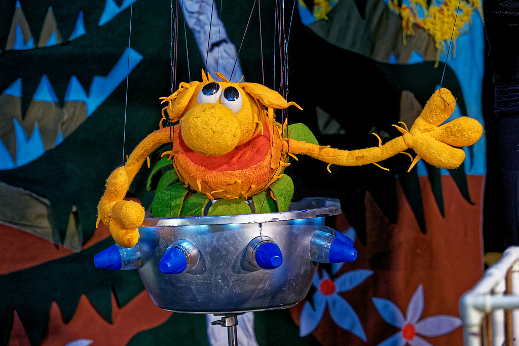 Бабушка для инопланетянина. Изображение 2