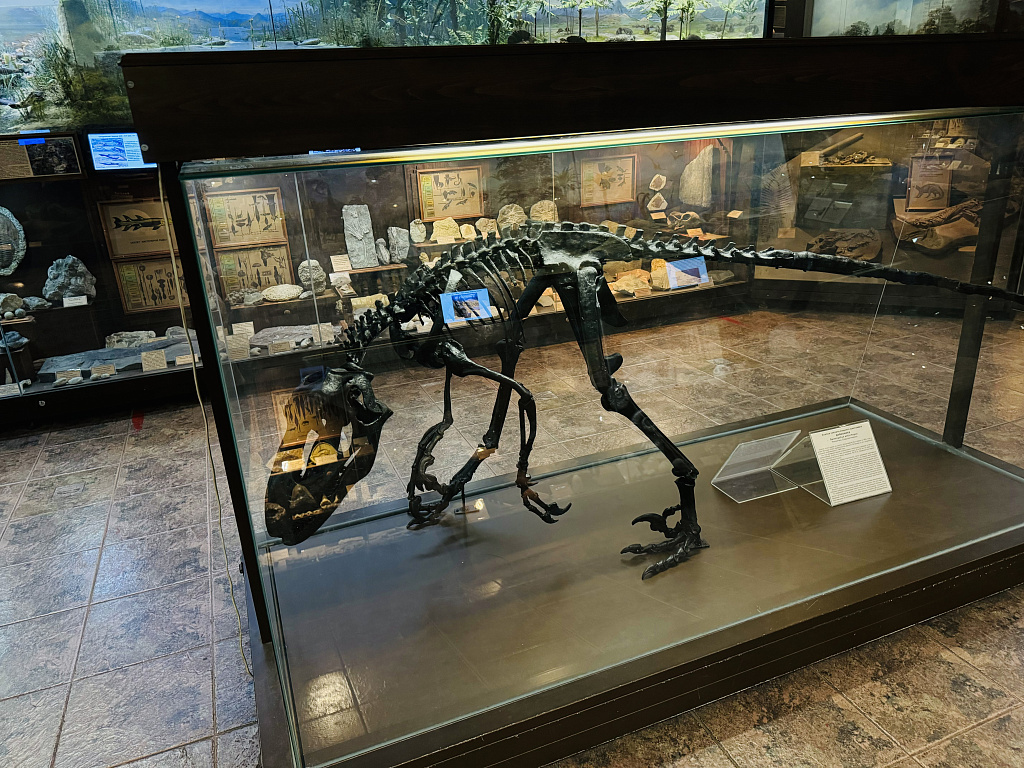 Биологический музей им. К.А. Тимирязева. Изображение 8