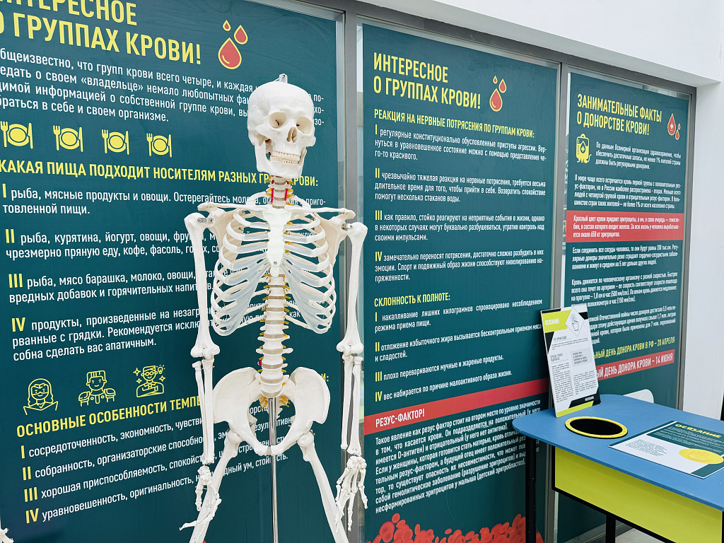 Анатомикум. Изображение 11