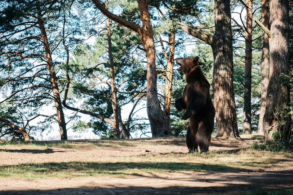 Батя 2: Дед. Изображение 4