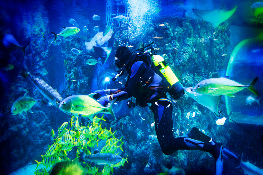 Крокус Сити Океанариум. Изображение 2