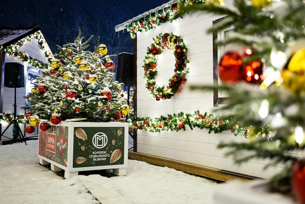 Зима на Воробьевых горах. Изображение 4