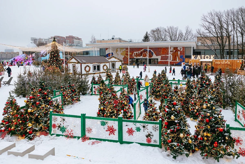 Зима на Воробьевых горах. Изображение 2