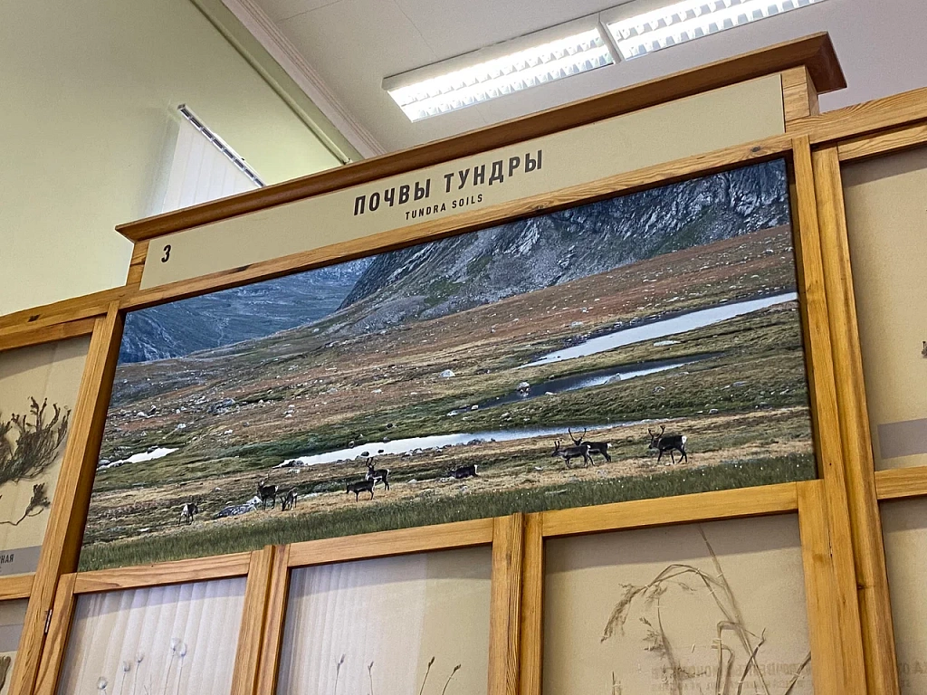 Почвенно-агрономический музей им. В.Р. Вильямса. Изображение 7