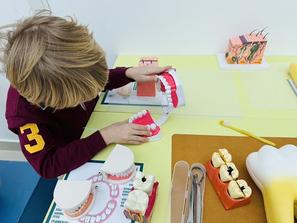 Анатомикум. Изображение 9