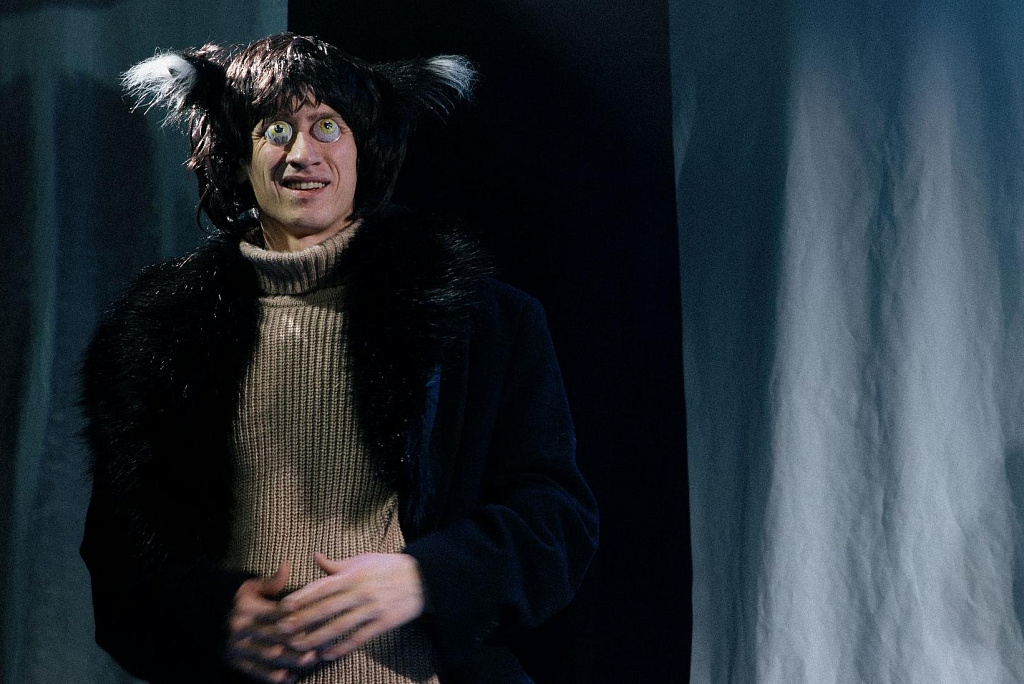 Простодурсен. Изображение 2