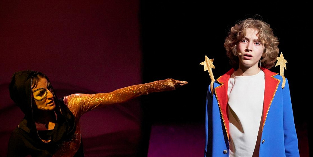 Маленький принц (Московский театр Музыки и Драмы Стаса Намина). Изображение 9