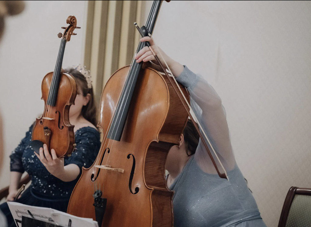 Новогодний концерт. Изображение 1