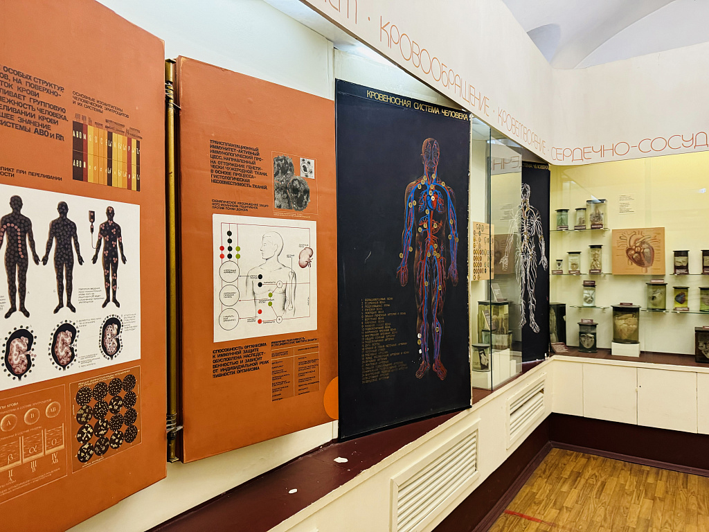 Биологический музей им. К.А. Тимирязева. Изображение 2