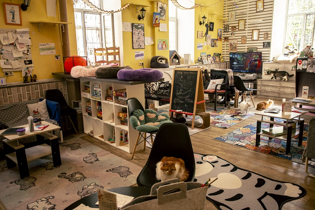 "Котофейня" на Маросейке. Изображение 8