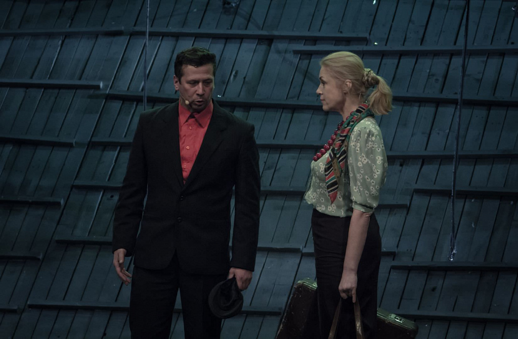 Калина красная. Изображение 7