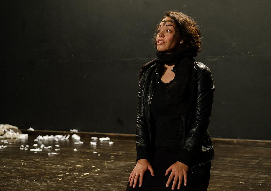 Греки. Эдип. Медея. Изображение 2