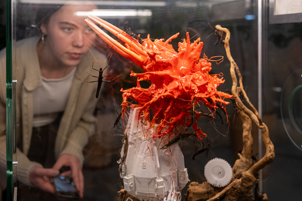 Морфогенез. Третья природа. Изображение 3