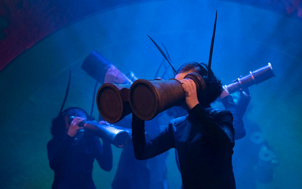 Муха-цокотуха (ДМТЮА). Изображение 3