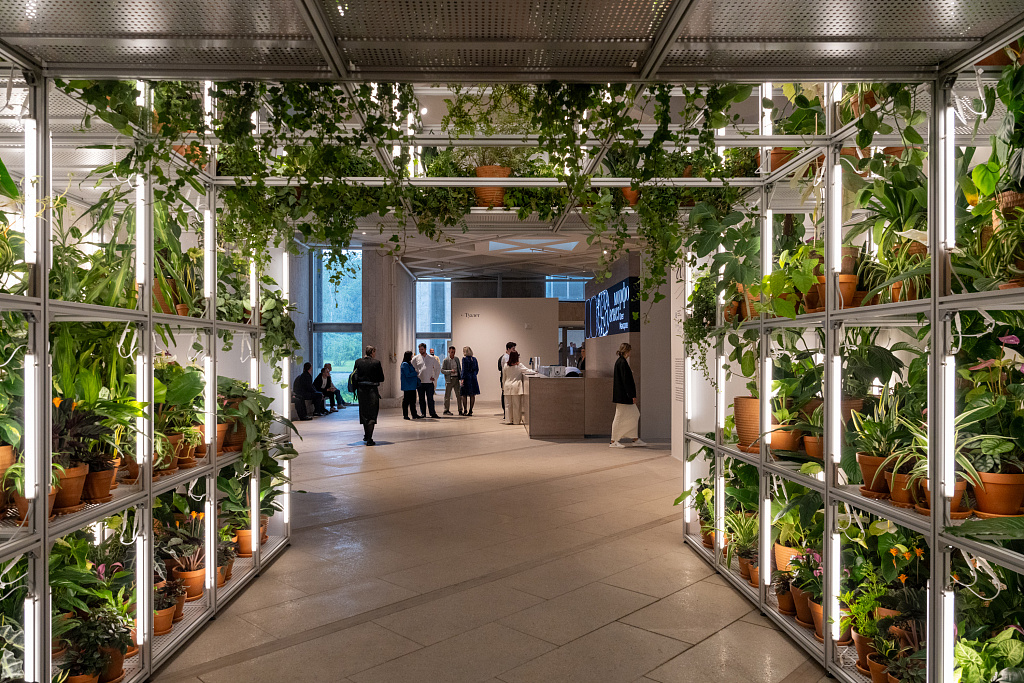 Морфогенез. Третья природа. Изображение 4