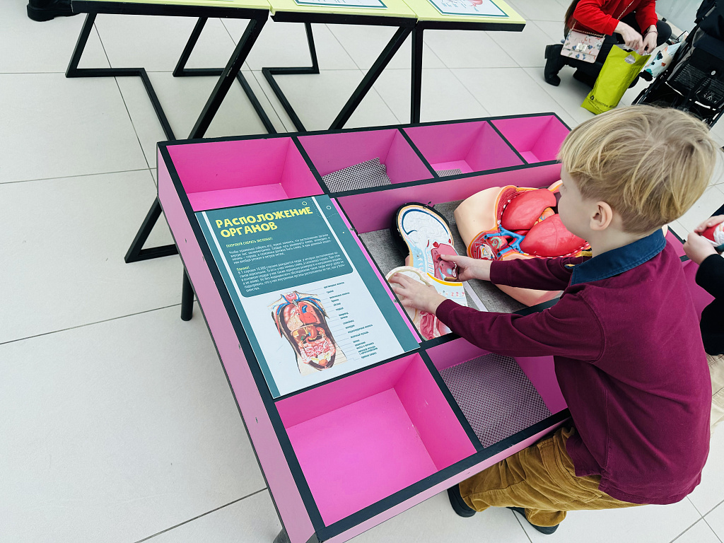 Анатомикум. Изображение 6