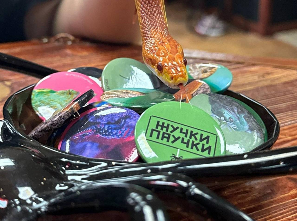 Антикафе с экзотариумом "Жучки-паучки". Изображение 1