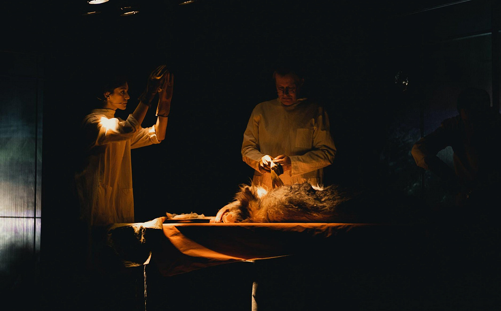 Собачье сердце. Изображение 8