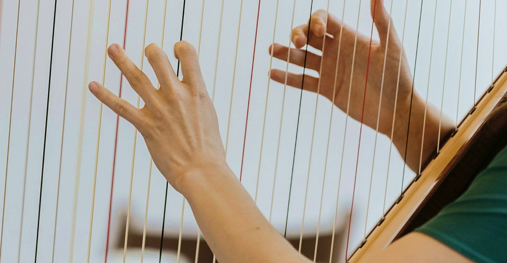 Арфа, флейта и виолончель. Изображение 7