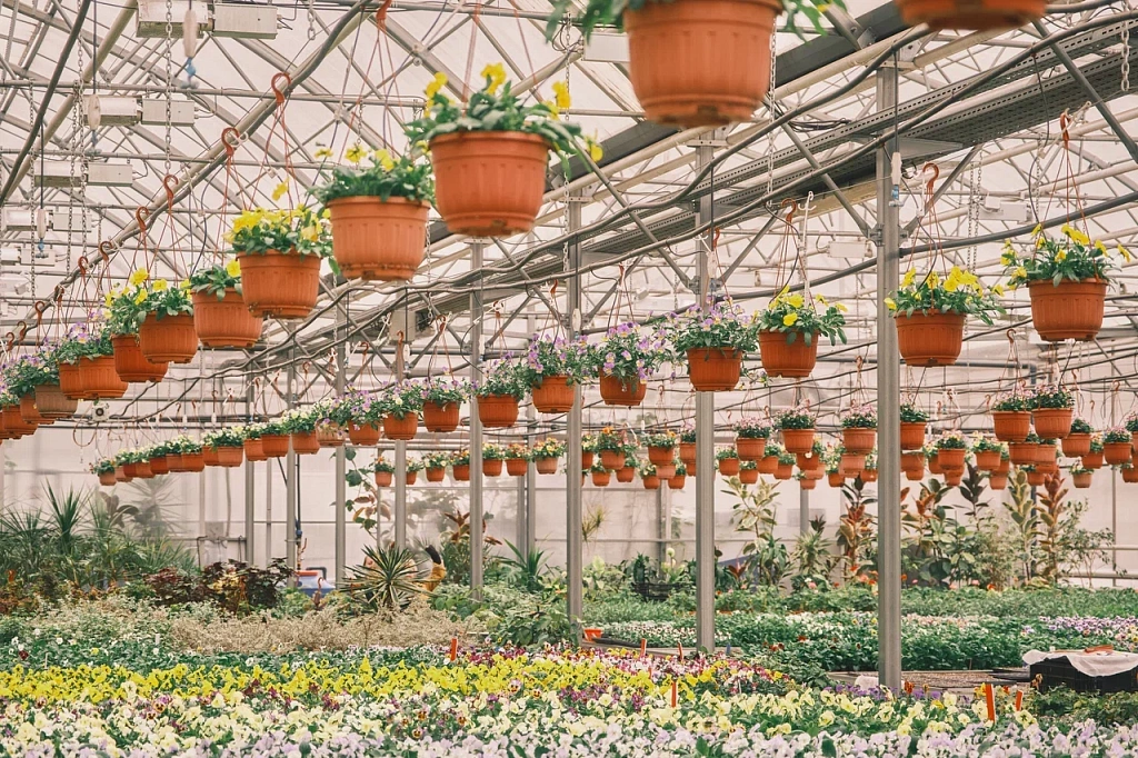 Нескучный Сад. Изображение 9