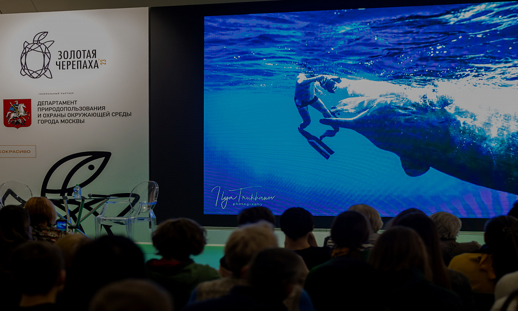 Фестиваль "Золотая черепаха". Изображение 2