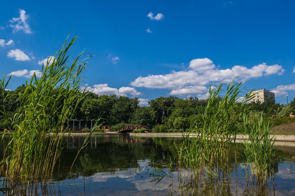 Парк "Дубки". Изображение 3