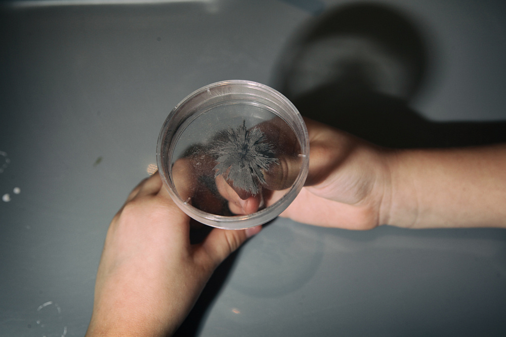 Следствие ведут ученые. Изображение 9