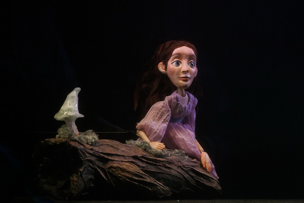 Дюймовочка (ДМТЮА). Изображение 2