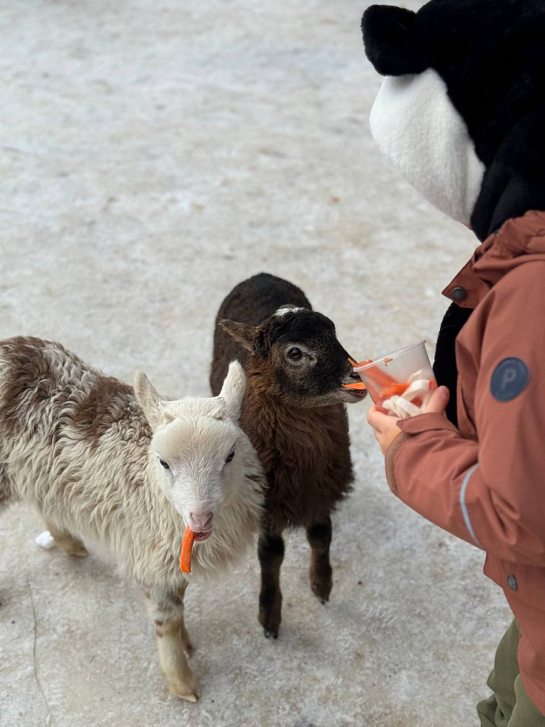 Зоопарк во Vnukovo Outlet Village. Изображение 7