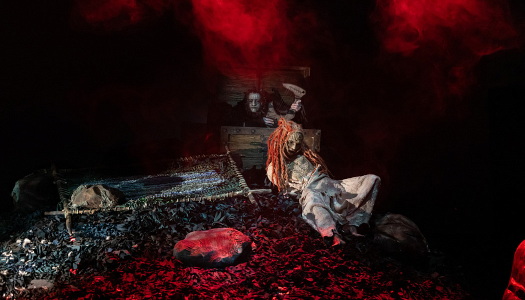 Белая уточка. Изображение 4