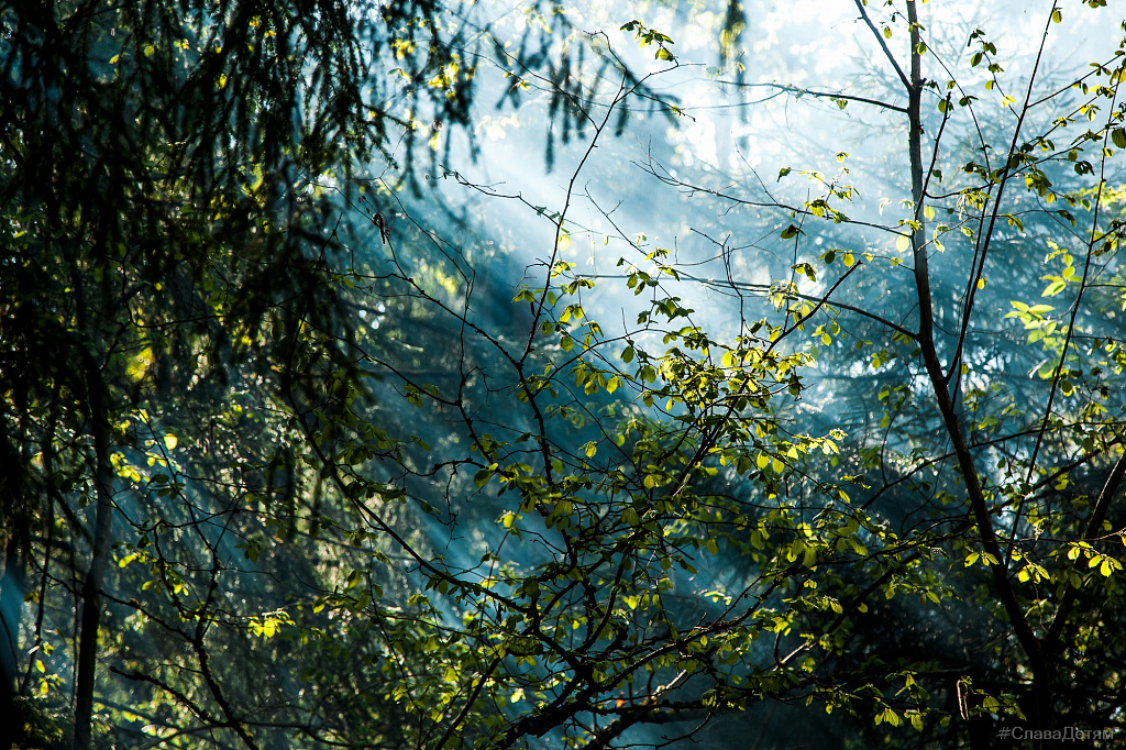 Детские походы «СлаваДетям». Изображение 3