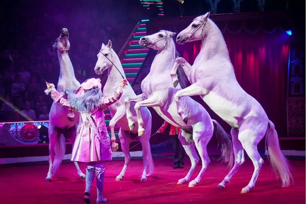 Московский Цирк Никулина на Цветном бульваре. Изображение 8