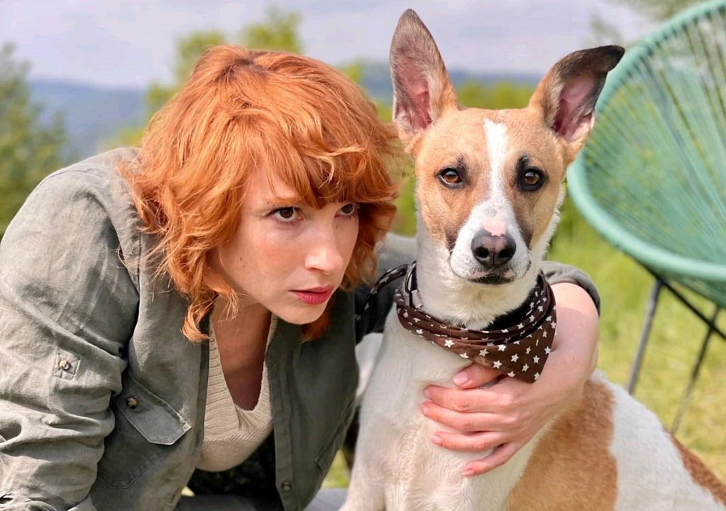 Гампи. Собачья жизнь. Изображение 4