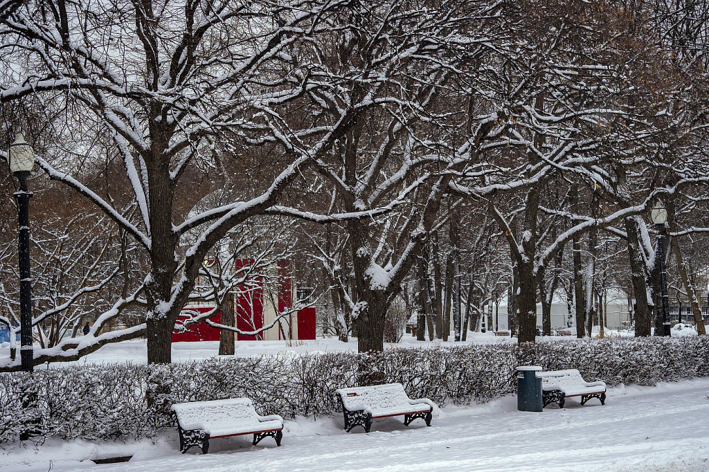 Новогодние программы в  Парке Горького. Изображение 2