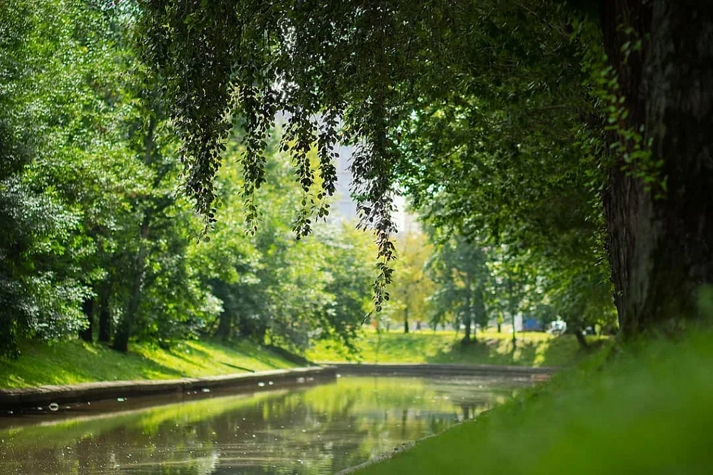 Парк "Красная Пресня". Изображение 3