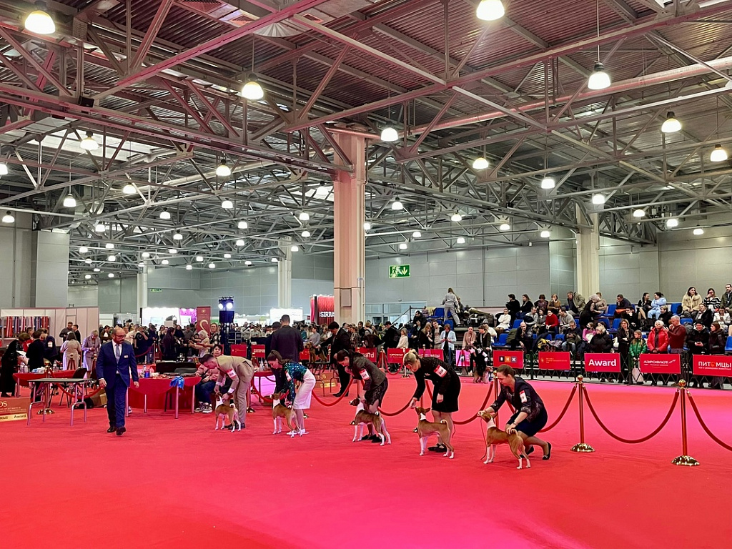 МВЦ "Крокус Экспо". Изображение 4