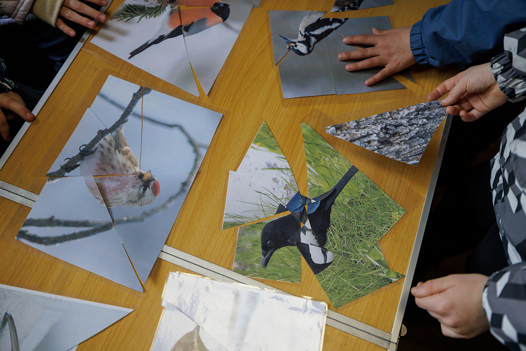 Занятия от экопроекта "Гнездо вяхиря". Изображение 4