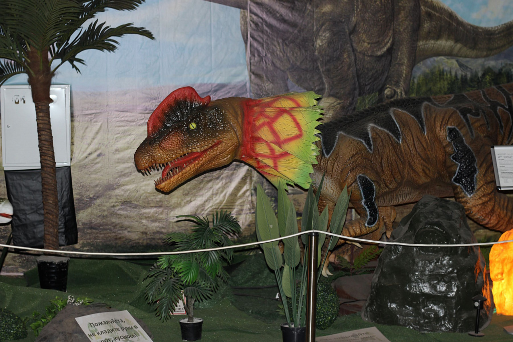 Динозавриум. Изображение 4