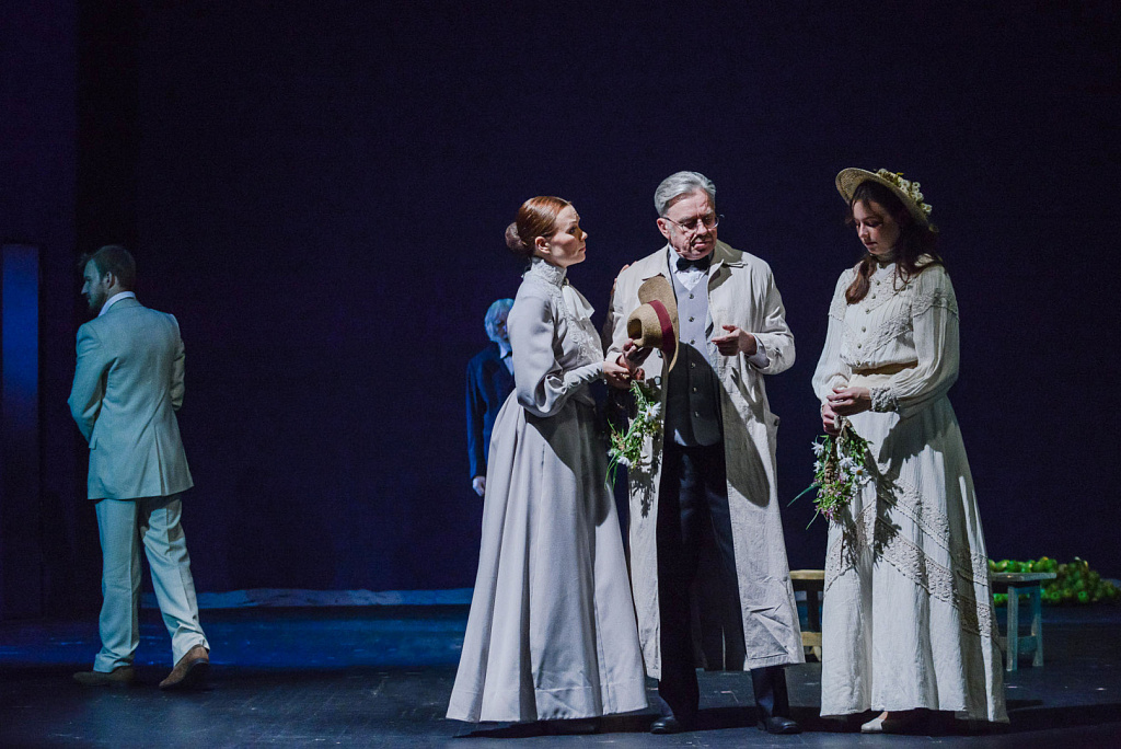 Чехов. Проект. Версия вторая «Сюжет для небольшого рассказа». Изображение 17