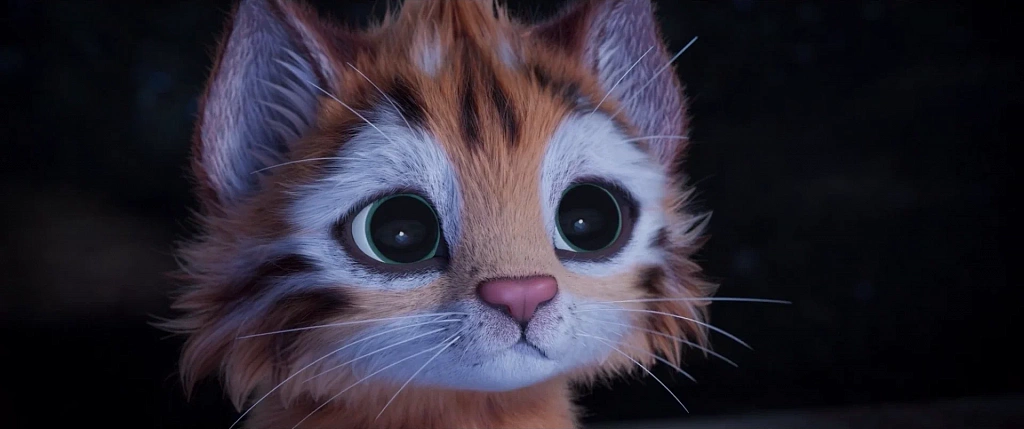 Хайди. Моя хитрая рысь. Изображение 6